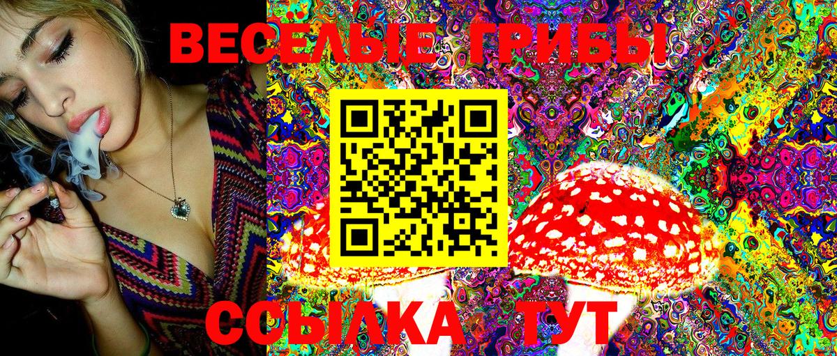 Галлюциногенные грибы Psilocybe  Галлюциногенные грибы MAGIC MUSHROOMS  Выкса  Вход с VPN 